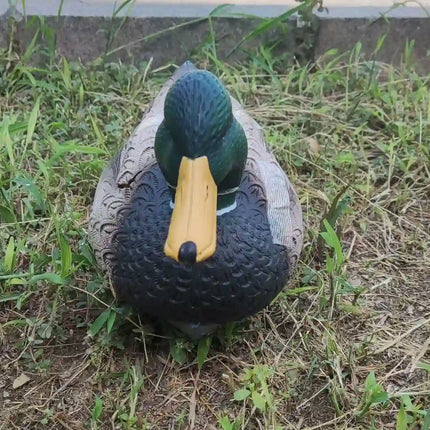 World's Most Realistic RC Duck Boat - 5-Channel with Head Turning & Authentic Quacking Sound image 2