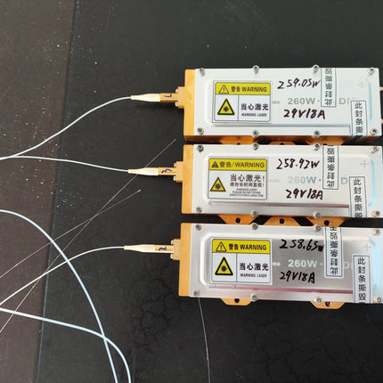 Raycus 260W Industrial Laser Diode Module SKU Series: RLD-260-9XX image 2