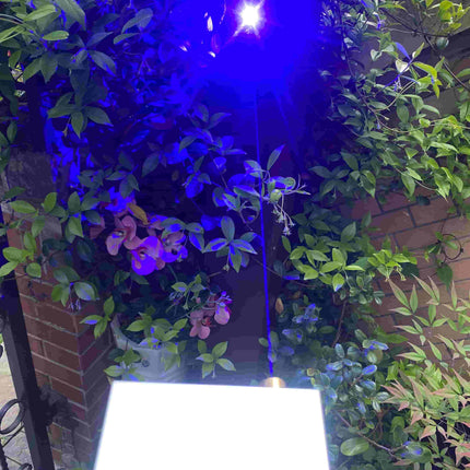 20-40W Blue Laser Module – 450±5nm Wavelength | Customizable All-in-One | Built-in Battery | 1-Year Warranty