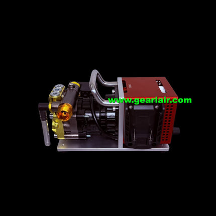 Portable Cordless Mini Car Wash Machine 20V WORX Battery Platform Golden Stainless Pump Head Custom Household Outdoor Washing Equipment