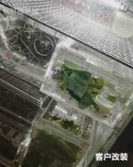 HKJ-K100 Dual-Core Powerful Thermoelectric Cooler — 3-in-1 DIY Kit for Portable Fridge, Mini AC & Incubator - Image 12