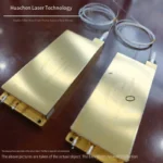 BWT Caplin 330W Laser Pump Source Module – SMA905 Interface, Customizable Options